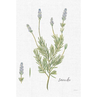 Tableau fleurs Lavande illustrée HEXOA