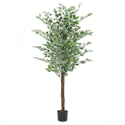 Ficus artificiel panaché 180cm LIGNE DECO