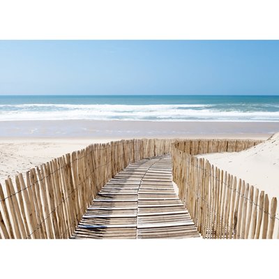 Tableau Mural Chemin Clôture PLAGE CEANOTHE