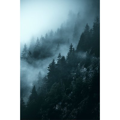 Tableau suisse au petit matin HEXOA