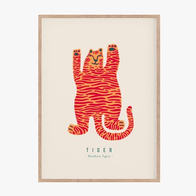 Royal Tiger, affiche,  cadre chêne. 50cm x 70cm COTTON BIRD
