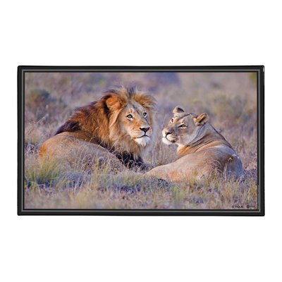 Sous main de bureau décoratif thème LION VIQUEL