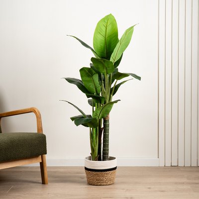 120cm Artificial Real Touch Dieffenbachia SO'HOME