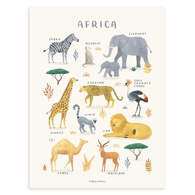 Affiche enfant animaux d'Afrique LIVING EARTH LILIPINSO