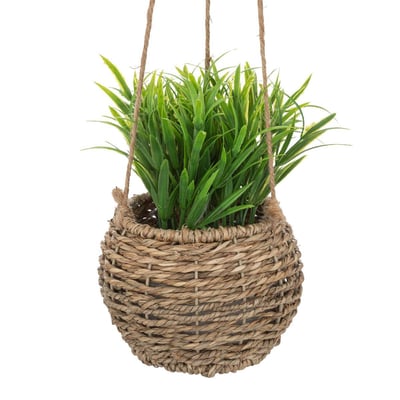 Plante avec pot et suspension ATMOSPHERA