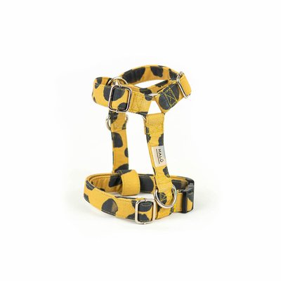 Peitoral Fitas Lopari, Malü Pet Wear MALU PET WEAR