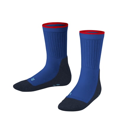Chaussettes Active Everyday FALKE