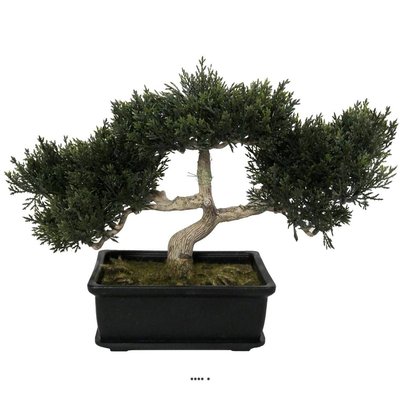 Bonsai artificiel Cedre H 23 cm 113 feuilles ARTIFICIELLES