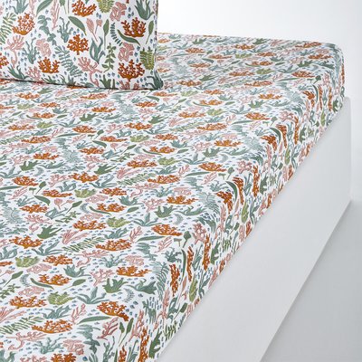 Drap housse coton, Lara LA REDOUTE INTERIEURS