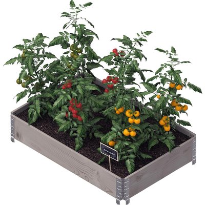 Carré potager Gardenbox 120 x 80 cm JARDINDECO