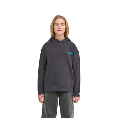 Sweat capuche PLEASURE ELEMENT