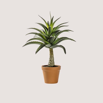 57cm Artificial Potted Agave ÉDITÉ