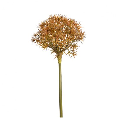 Tige d'allium atropurpureum artificielle H89 SIA DECO