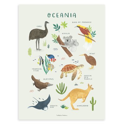 Affiche enfant animaux de l'Océanie LIVING EARTH LILIPINSO