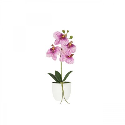 Orchidée artificielle veinée 35cm LIGNE DECO