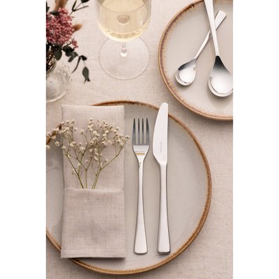 16-Piece Darwin Stainless Steel Cutlery Set VINERS