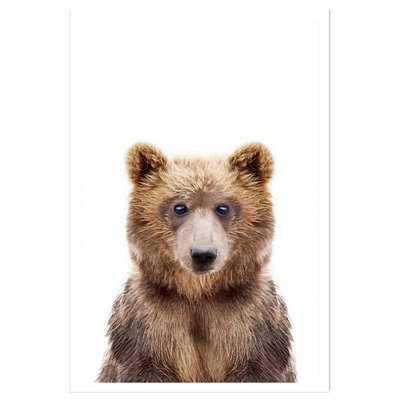 Affiche enfant bébé ours HEXOA