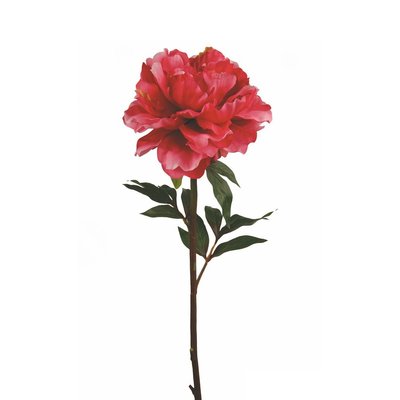 Tige de pivoine ouverte artificielle H45 SIA DECO