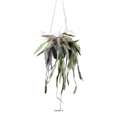 Rhipsalis fausse plante tombante en pot L 40 ARTIFICIELLES