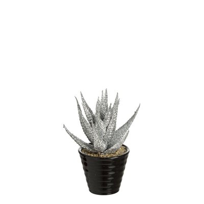 Succulente artificielle haworthia pailletée en pot H15 SIA DECO