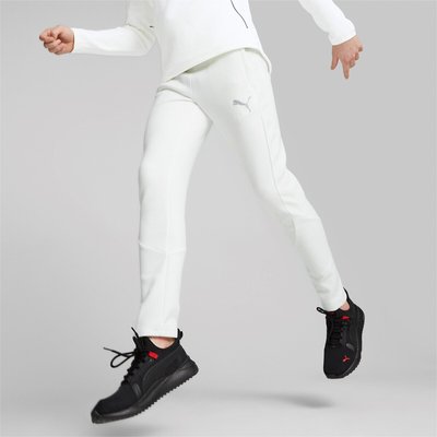 Trainingshose Evostripe PUMA
