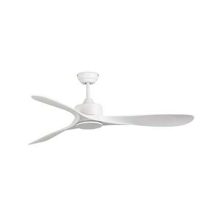 Ventilateur  Plafond  LUZON FARO