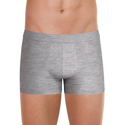 Boxer  FUSION EMINENCE