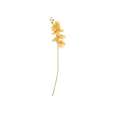 Fleur ORCHID VILLA COLLECTION