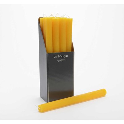 Bougie flambeau 25 cm flambeau (lot de 12) AMADEUS