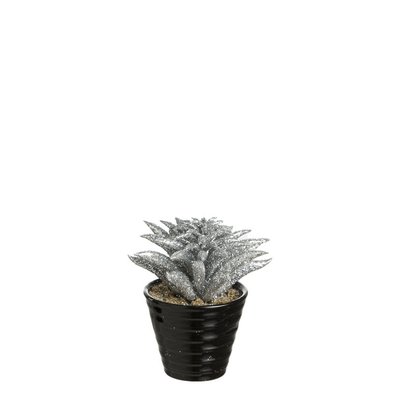Succulente dudleya artificielle pailletée en pot H15 SIA DECO