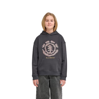 Sweat capuche ROCKYS ELEMENT