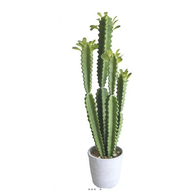 Euphorbe Trigona Succulent plante ARTIFICIELLES
