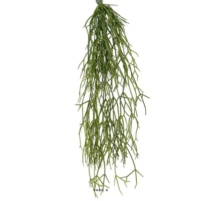 Chute de cactus rhipsalis artificiel L 60 cm ARTIFICIELLES