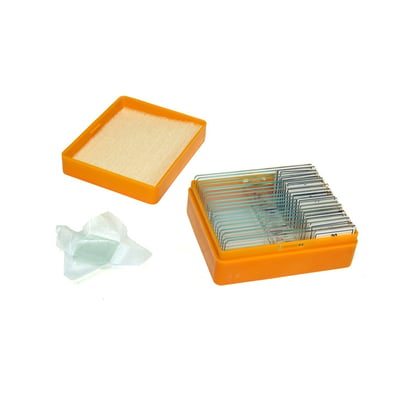 Set de préparations microscopiques  N20 NG LEVENHUK