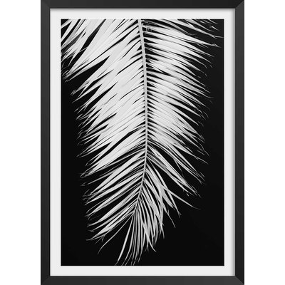 Poster palme x HEXOA