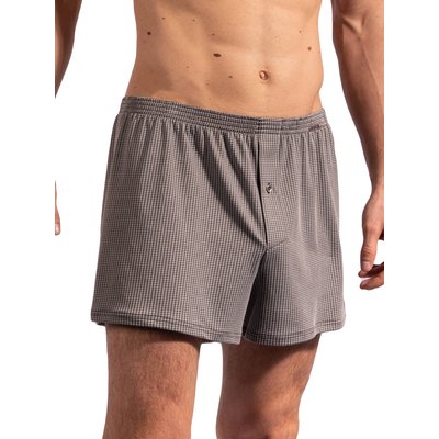 Boxer RED2208 OLAF BENZ