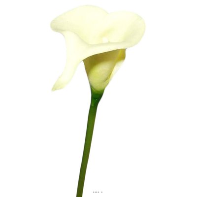Arum calla fleur artificielle Champagne H 42 ARTIFICIELLES