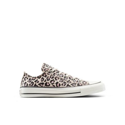 Baskets CHUCK TAYLOR ALL STAR LEOPARD CONVERSE