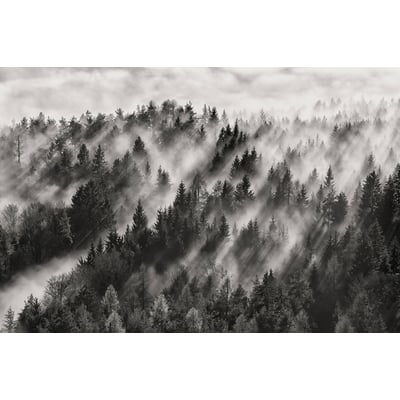 Tableau rayons de lumière HEXOA