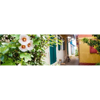 Tableau sur toile allée fleurie 30x97 cm CEANOTHE
