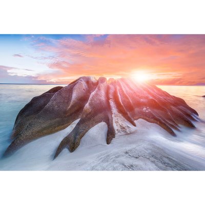 Tableau Mural Plage D'anse FLEUR CEANOTHE