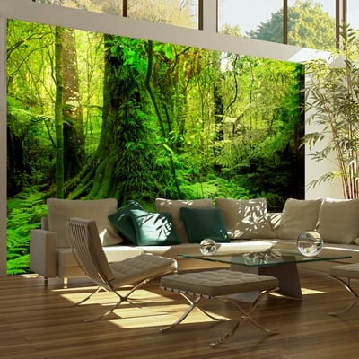 Papier peint intissé panoramique Paysage Jungle EDEN
