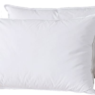 Lot 2 oreillers 50x70 cm Coton et Plumes de canard Blanc EDEN