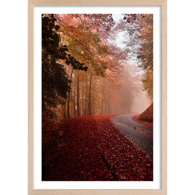Affiche nature explosion automnale HEXOA