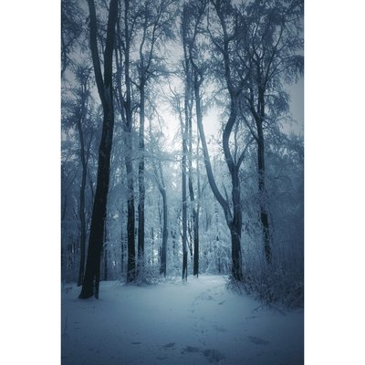 Tableau Mural Paysage Glacé HIVERNAL CEANOTHE