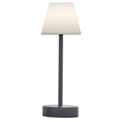 Lampe à poser intérieure extérieure Lola Slim 32 cm Anthracite NEWGARDEN