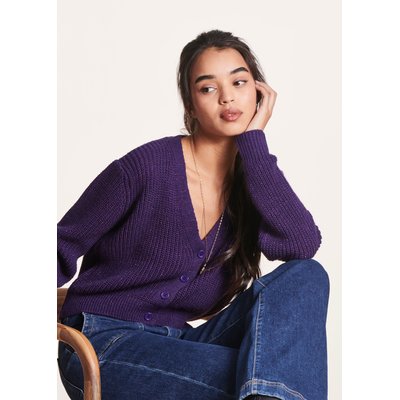 Gilet court en maille irisée col V LA FEE MARABOUTEE