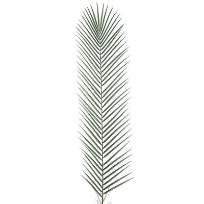 Feuille de Palmier Phoenix artificielle plast ARTIFICIELLES
