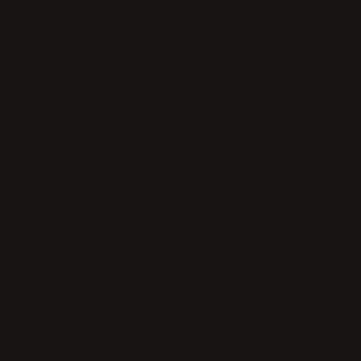 Active Emulsion Paint Burn Black Light SANDERSON