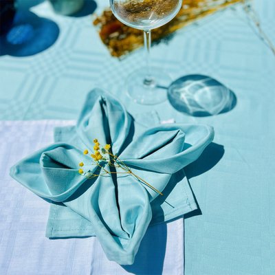 Serviettes de table Aude - 100% coton damassé - Lot de 4 TRADITION DES VOSGES